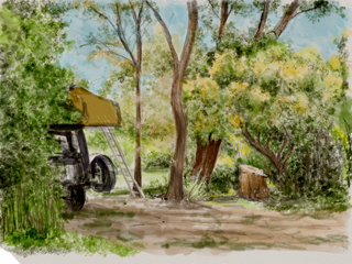 Camping at Bendalong NSW