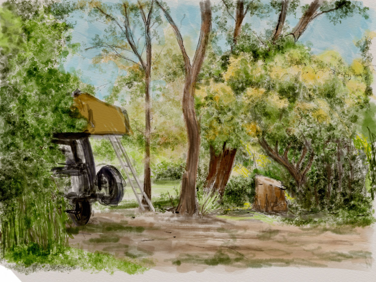 Camping at Bendalong